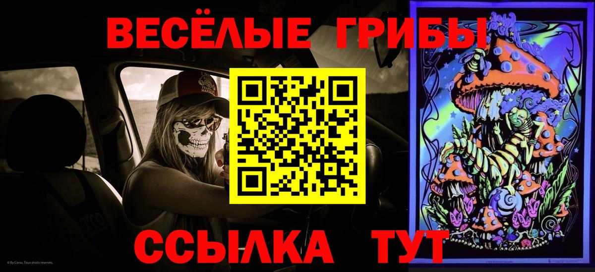 Псилоцибиновые грибы Psilocybine cubensis  Псилоцибиновые грибы GOLDEN TEACHER  Будённовск  Вход с VPN 